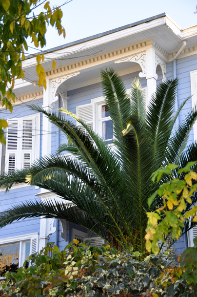 Houten villa en palm - Foto, afbeelding