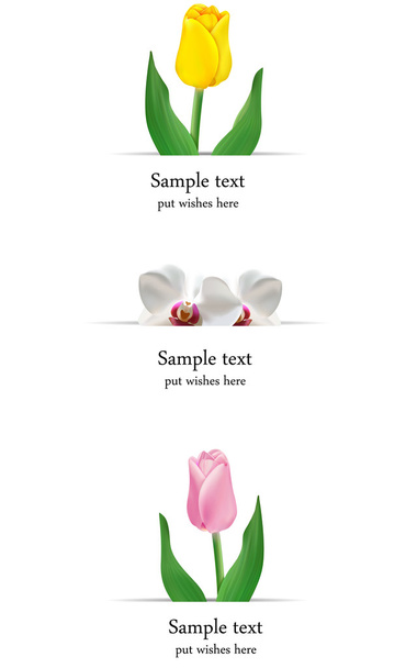 Vector set of greeting cards with flowers - Wektor, obraz