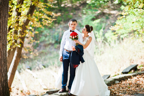 Gorgeous wedding couple at autumn park in love - Valokuva, kuva