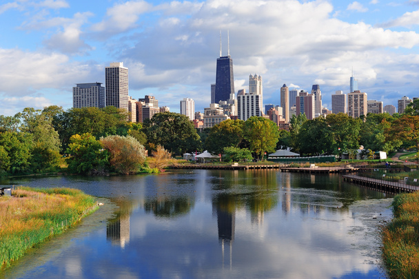 Chicago Skyline - Fotó, kép
