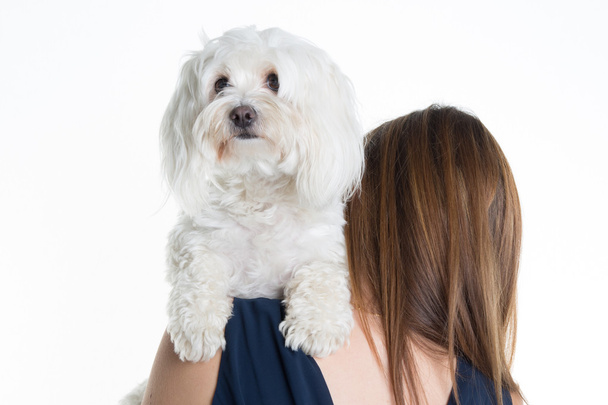 Morena chica besando a su perro aislado sobre fondo blanco
 - Foto, Imagen