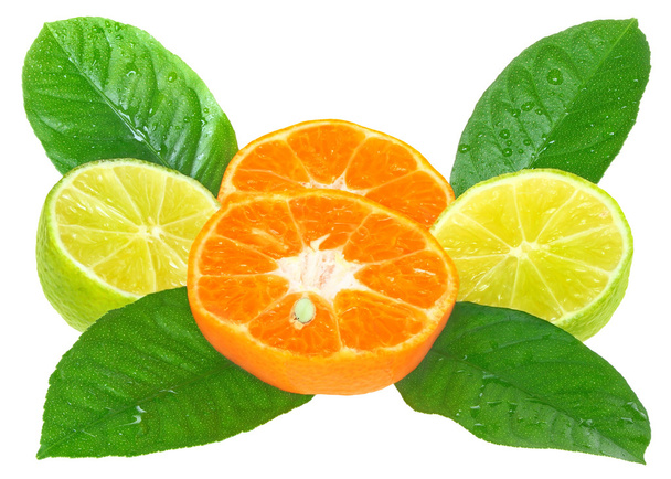 Orange and lime - Valokuva, kuva