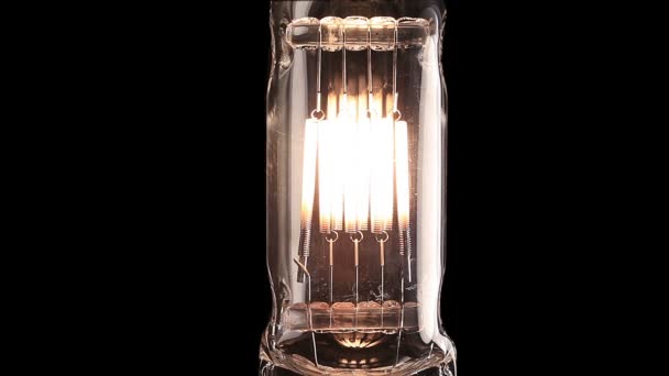 Halogen lamp. Real light bulb flickering. Tungsten filament of electric bulb. - Footage, Video
