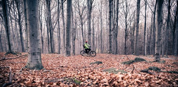 VTT sur piste cyclable dans les bois
 - Photo, image