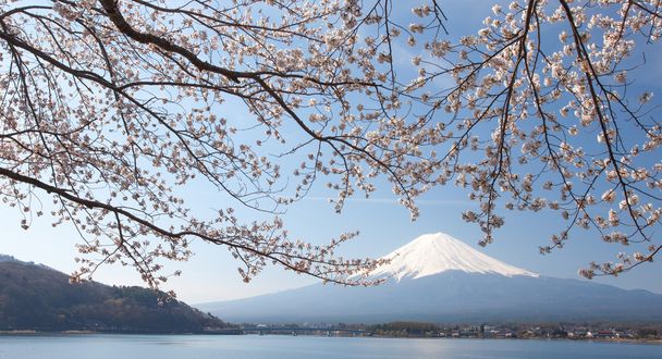 Montagna Fuji vista
 - Foto, immagini