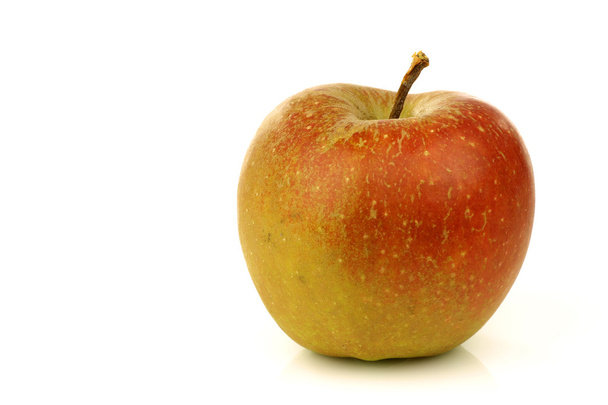 Traditional Dutch apple called "goudrenet" used for making apple - Фото, изображение
