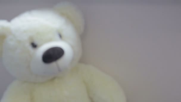 Toy bear from the pediatrics department - Video, Çekim