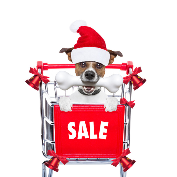 クリスマス販売犬 - 写真・画像