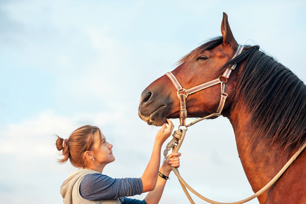 Nuori iloinen teinityttö silitti ruskeaa hevosen nenää. Ulkoilma
 - Valokuva, kuva