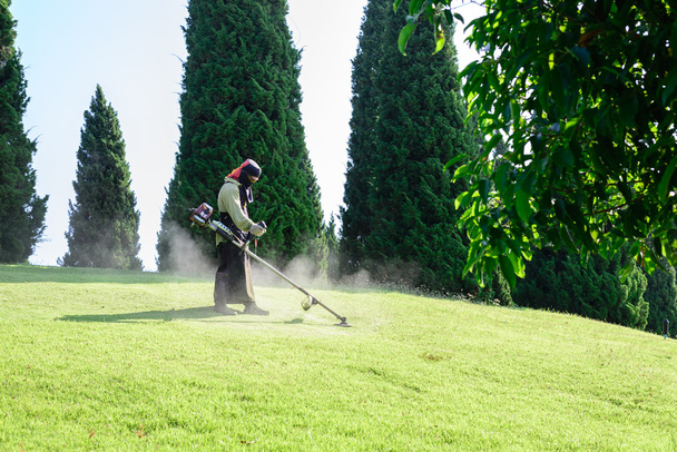 Travailleur tondre la pelouse dans le jardin
. - Photo, image