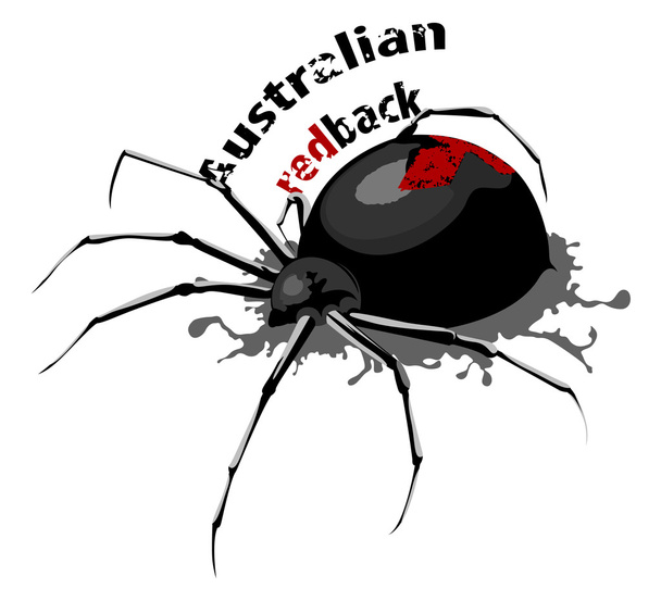 Vector de la araña de redback australianas - Vector, imagen
