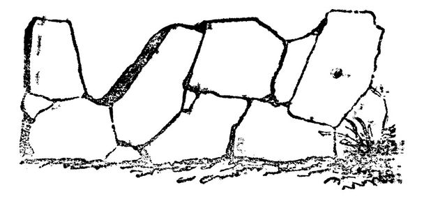 Crazy paving of the Romans contains joints in all directions, vi - Vector, Image