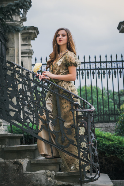 Young beautiful princess in the dress - Fotografie, Obrázek