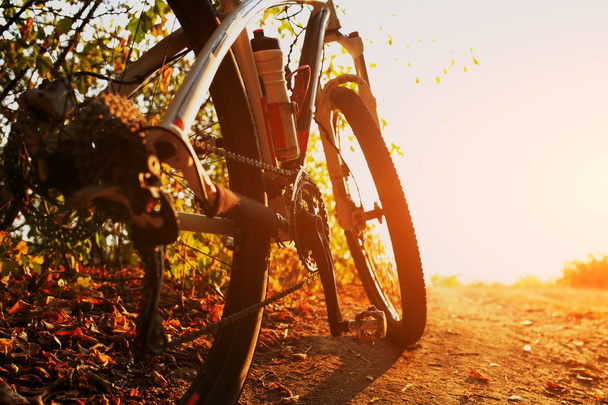 Detalle de ciclista hombre pies montar bicicleta de montaña al aire libre
 - Foto, Imagen