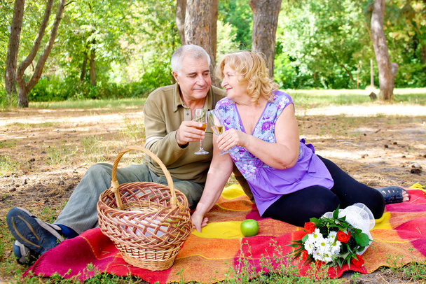 Un picnic in famiglia. Belle persone anziane felici
  - Foto, immagini