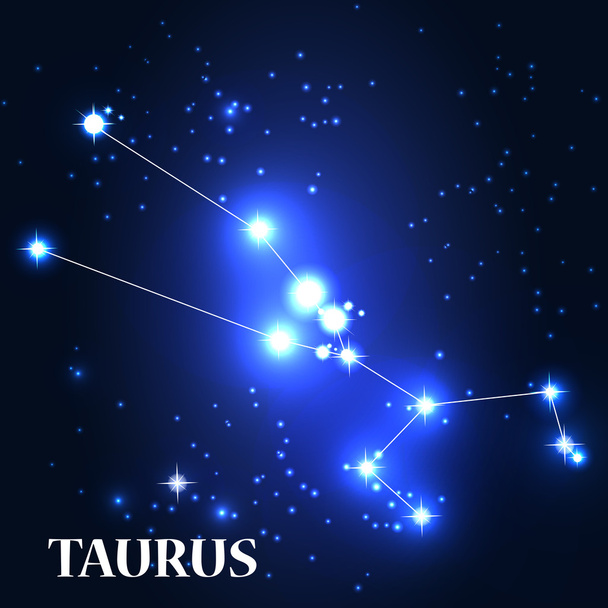 Taurus Zodiac Sign. - Vector, Imagen