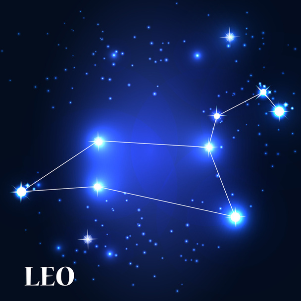Leo Zodiac Sign. - Vetor, Imagem