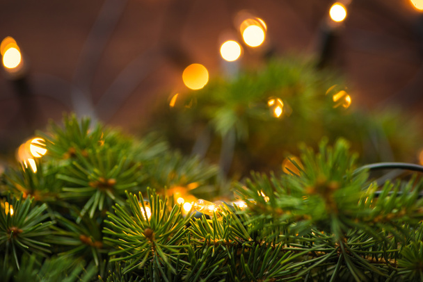 Fir-tree branch with christmas lights over the wooden surface - Photo, Image