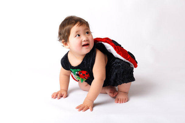 Cute adorable baby girl in new year/christmas ladybug costume on white background - Photo, Image
