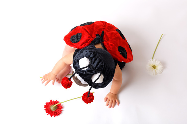 Yeni yıl/yılbaşı ladybug kostüm beyaz arka plan üzerinde şirin bebek kız - Fotoğraf, Görsel