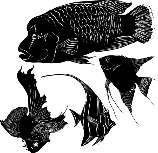 Μαύρη σιλουέτα θαλάσσιο ενυδρείο ψαριών - Διάνυσμα, εικόνα