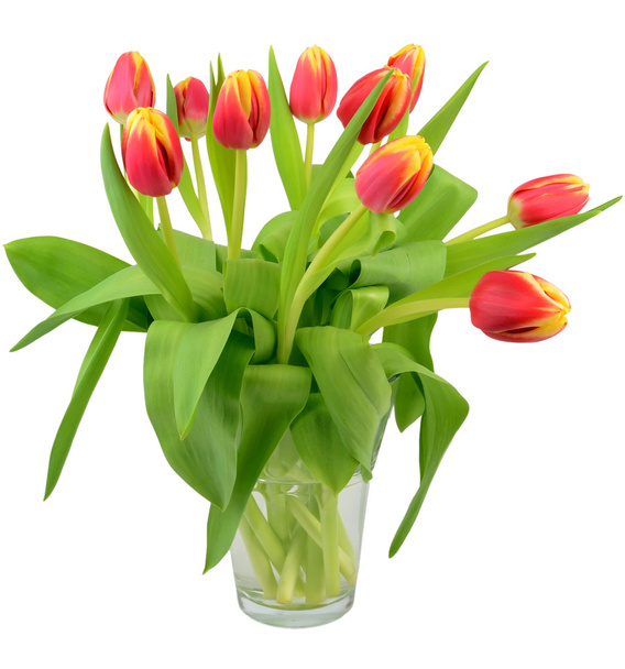 Vase with tulip flowers - Фото, изображение