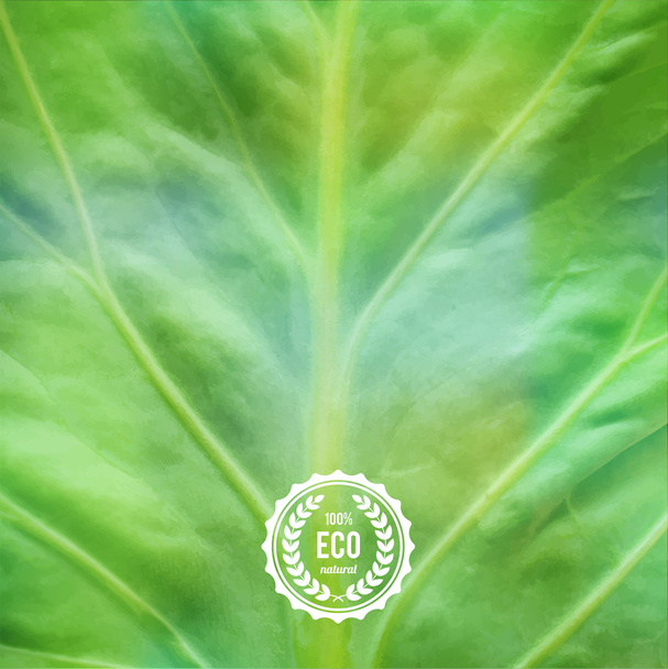 Zöld öko-tervezési koncepció - Vektor, kép