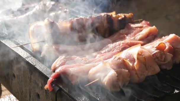 Schweinefleisch grillen - Filmmaterial, Video