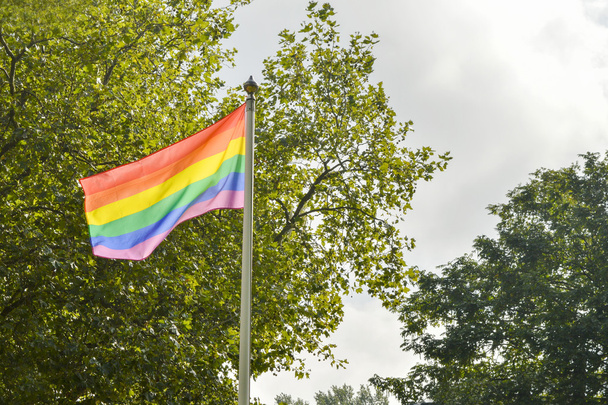Parkta bir kahve evi önünde LGBT bayrak - Fotoğraf, Görsel