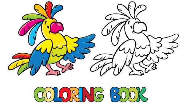 Libro para colorear loro divertido
 - Vector, Imagen