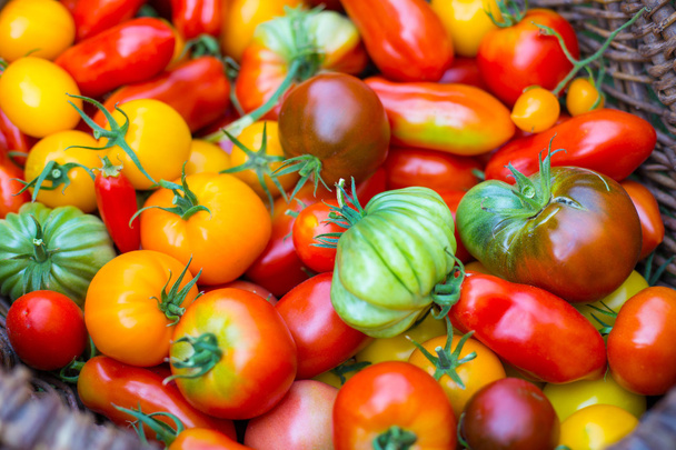 Vielfalt an reifen Tomaten - Foto, Bild