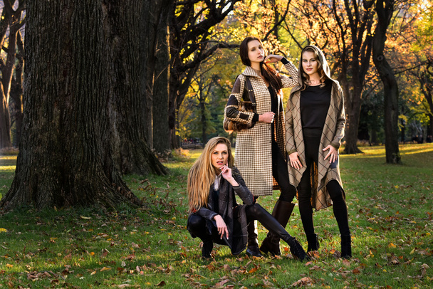 krásné modely v podzimní elegantní oblečení - Fotografie, Obrázek