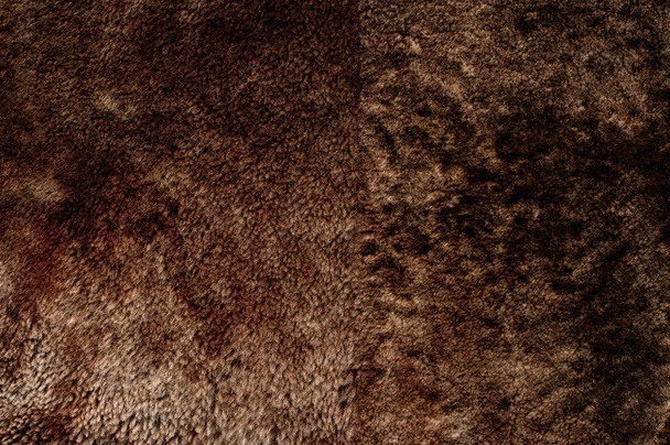 Close-up of brown fur - Photo, Image