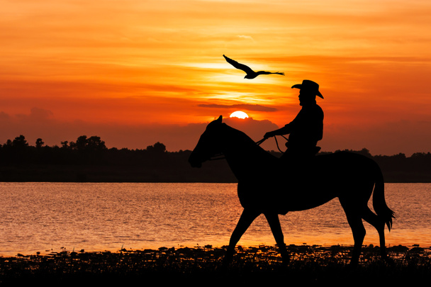 silueta del vaquero sentado en su caballo
 - Foto, imagen