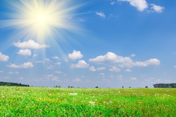 Verano prado verde y cielo azul nublado
 - Foto, Imagen