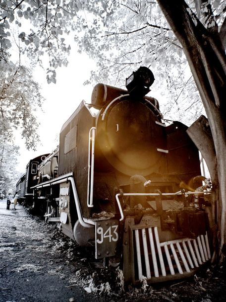 steam train show in the garden - Photo, Image
