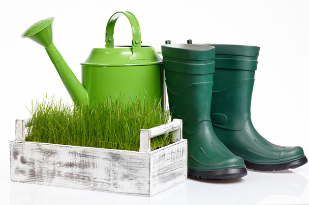 Garden tools and watering can with grass on white - Photo, image