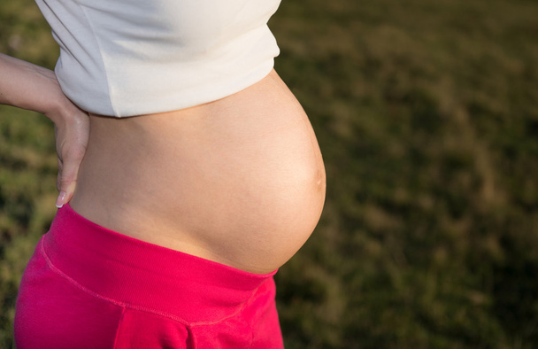 Έξι μηνών έγκυος κοιλιά - Φωτογραφία, εικόνα