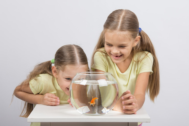 The girls are laughing and having fun watching the behavior of goldfish - Фото, зображення