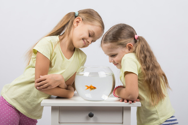 Dwie dziewczyny przyglądając się złota rybka - Zdjęcie, obraz