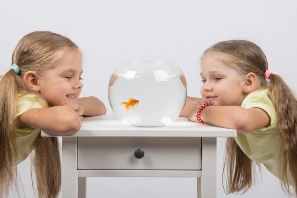 Kaksi tyttöä katselee kultakalaa pienessä kalamaljassa.
 - Valokuva, kuva