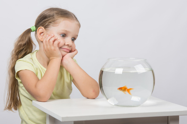 Una ragazza di quattro anni ammira un pesce rosso in un acquario
 - Foto, immagini