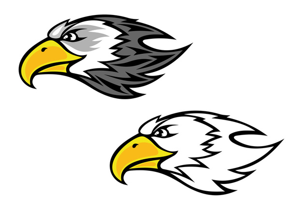 mascote de falcão
 - Vetor, Imagem