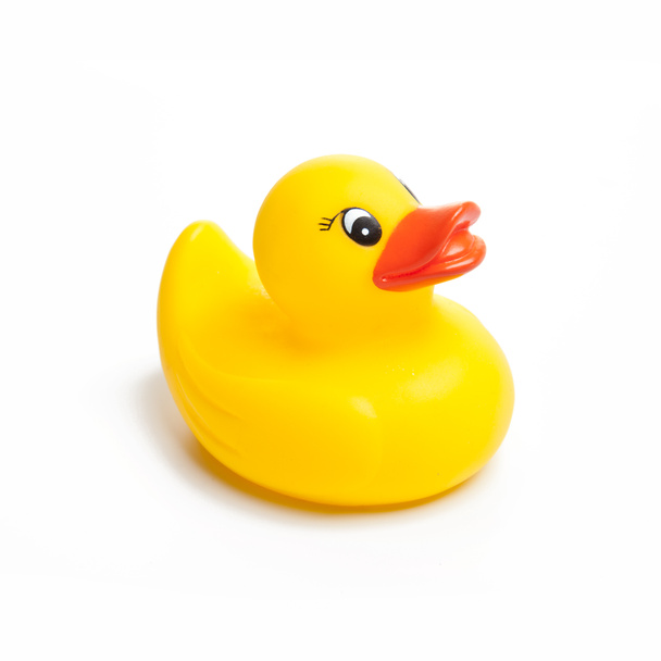 Yellow rubber duck on White Background - Photo, Image