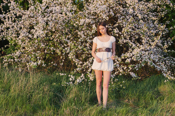 Beautiful young girl on background  flowering  apple-tree - Фото, зображення