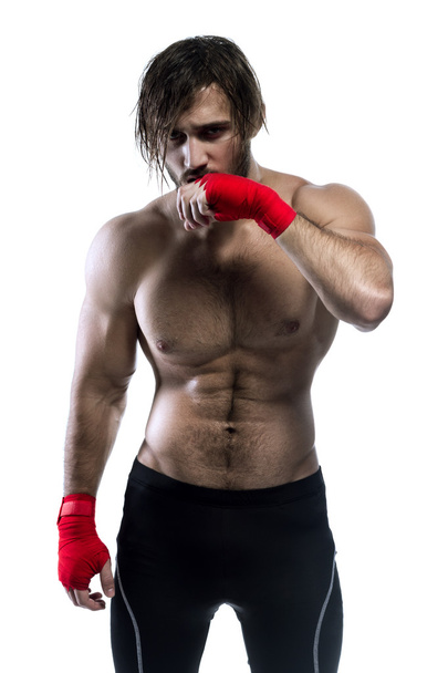 Fighter On White Background - Photo, image
