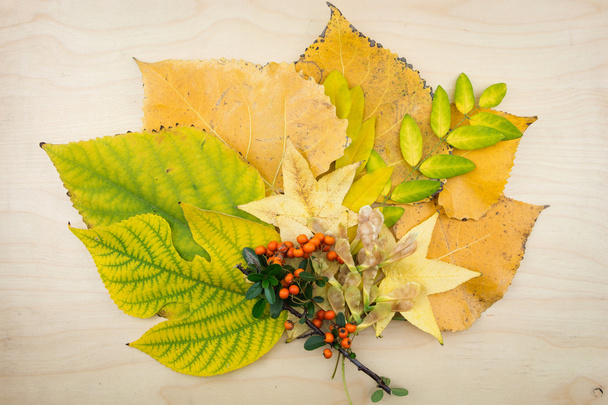 Ένα μπουκέτο από κίτρινο, πράσινο Φθινοπωρινά φύλλα, καρποί και σπόροι. - Φωτογραφία, εικόνα