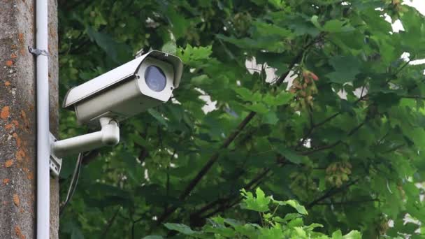 Bewakingscamera in de buurt van boomtakken - Video