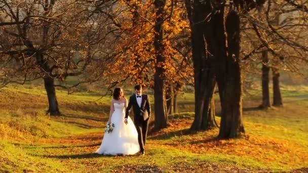 gelin ve damat güzel genç çift yavaş hareket yakın çekim onların düğün gününde gün batımında parkta yürürken el ele tutuşuyor - Video, Çekim