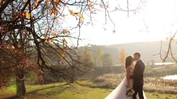 スローモーションで撮影された秋の公園で美しい木々を背景にエレガントな新郎と美しい幸せなスタイリッシュな花嫁クローズアップ - 映像、動画